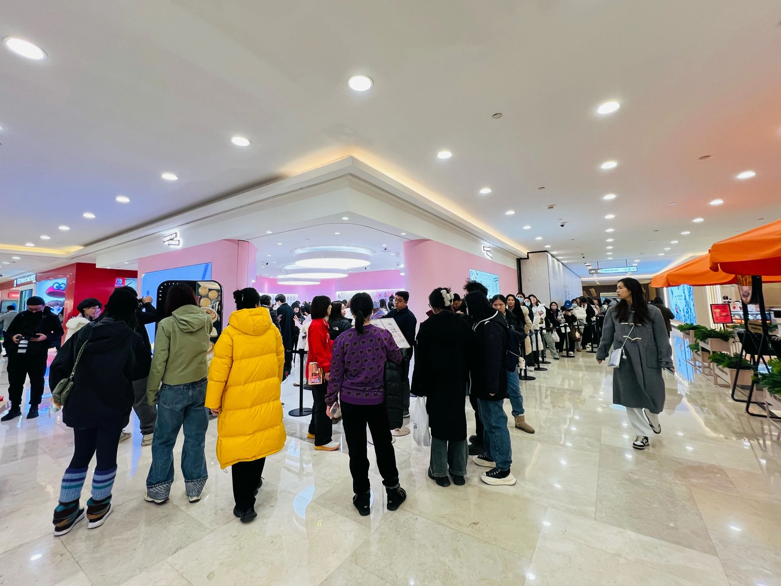 ��ҳ|�ڲ��������רҵ�������Ϊ��!