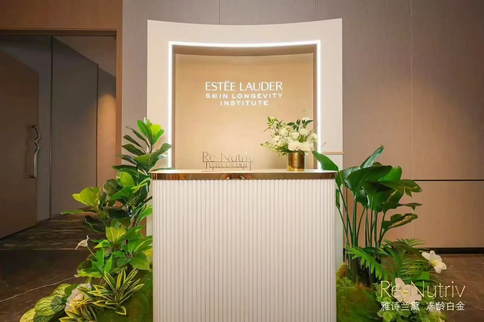 ��ҳ|�ڲ��������רҵ�������Ϊ��!