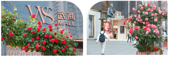 ��ҳ|�ڲ��������רҵ�������Ϊ��!