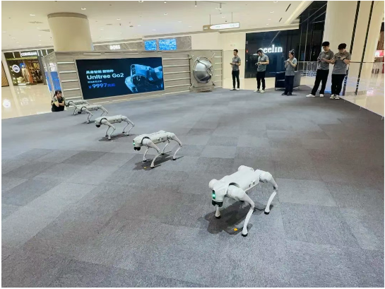 ��ҳ|�ڲ��������רҵ�������Ϊ��!