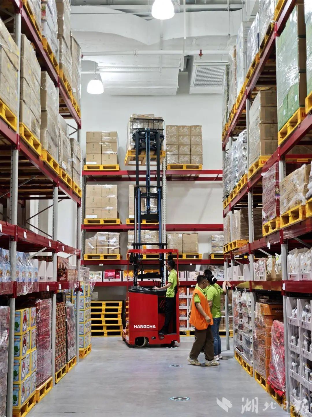 ��ҳ|�ڲ��������רҵ�������Ϊ��!