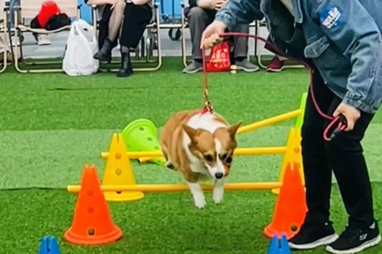 692eb766e2309 Ê×Ò³|ÌÚ²©»á¹ÙÍø¡¤×¨Òµ·þÎñ³ÏÐÅΪ±¾!