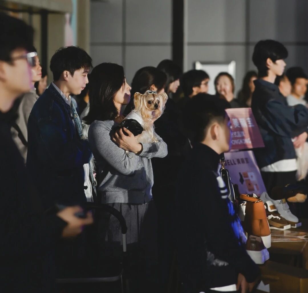 ��ҳ|�ڲ��������רҵ�������Ϊ��!