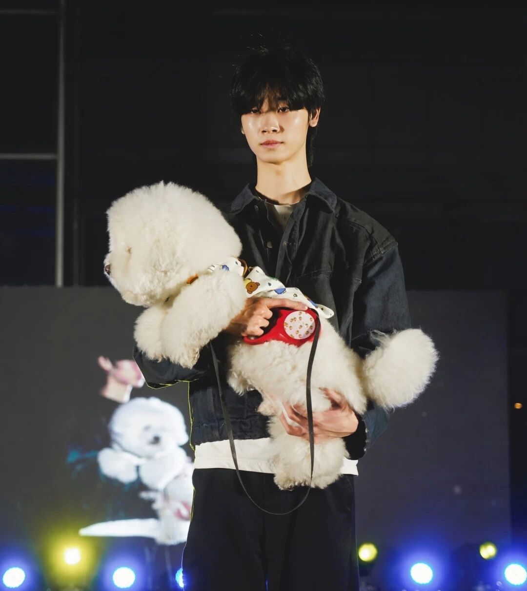 ��ҳ|�ڲ��������רҵ�������Ϊ��!