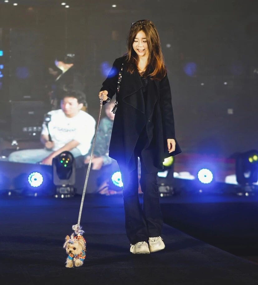 ��ҳ|�ڲ��������רҵ�������Ϊ��!