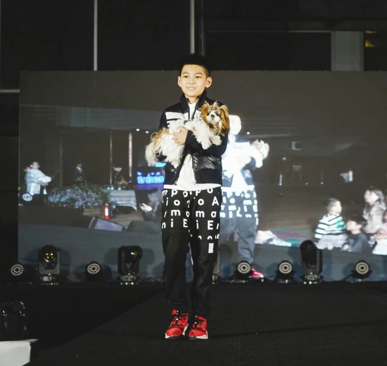 ��ҳ|�ڲ��������רҵ�������Ϊ��!