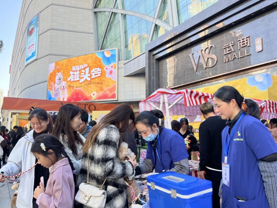 ��ҳ|�ڲ��������רҵ�������Ϊ��!