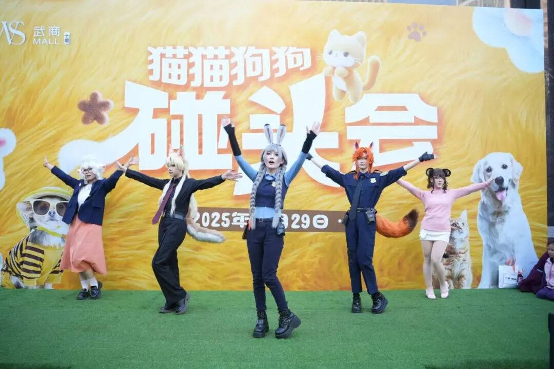 ��ҳ|�ڲ��������רҵ�������Ϊ��!