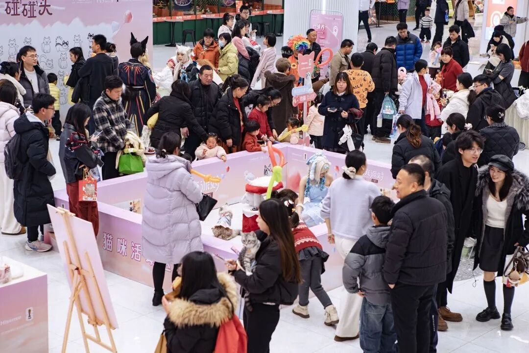 ��ҳ|�ڲ��������רҵ�������Ϊ��!