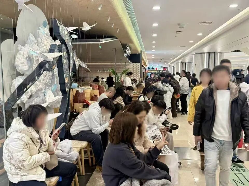 ��ҳ|�ڲ��������רҵ�������Ϊ��!